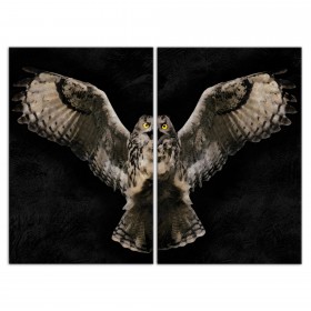 Painty Flying Owl Set 20x30 Canvas Wall Art