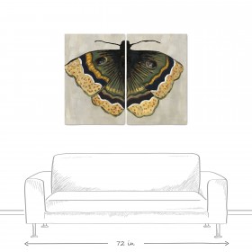 Monarch 30 x 40 Canvas Wall Art