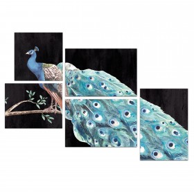 Peacock  