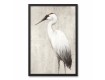 Majestic Birds Black Framed Canvas Set