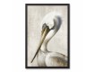 Majestic Birds Black Framed Canvas Set