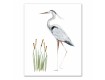 Watercolor Herons Canvas Set