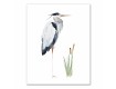 Watercolor Herons Canvas Set