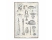 Sea Items Canvas Set