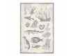 Sea Items Canvas Set