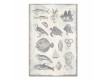Sea Items Canvas Set