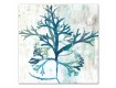 Watercolor Corals 30x30 Canvas Set 