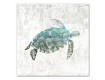 Watercolor Sea Creatures 30x30 Canvas Set 