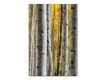 Yellow Painted Birches Canvas Set