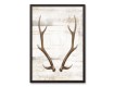 Antlers 20x30 Black Framed Canvas Set