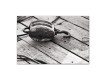 Boat Parts 48x32 Canvas Set