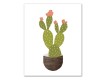Cacti Friends 16x20 Canvas Set