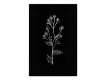 Chalkboard Botanical 24x36 Canvas Set