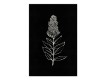 Chalkboard Botanical 24x36 Canvas Set