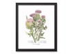 Plant Studies 11x14 Black Framed Canvas Set