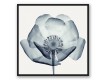 Blue X-Ray Flowers 36x36 Black Floating Frame Canvas Set