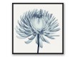 Blue X-Ray Flowers 36x36 Black Floating Frame Canvas Set