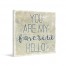 Favorite Hello Gallery Wrapped Canvas 