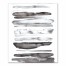 Gray Ombre 20x24 Canvas Wall Art