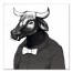 Cool Bull Wears Black 24x24 Canvas Wall Art