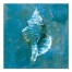 Turquoise Conch Shell 24x24 Canvas Wall Art