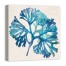 Turquoise Sea Weed 24x24 Canvas Wall Art