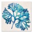 Turquoise Sea Weed 24x24 Canvas Wall Art