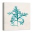 Verdant Sea Weed 24x24 Canvas Wall Art 