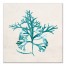 Verdant Sea Weed 24x24 Canvas Wall Art 