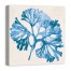 Cobalt Sea Weed 24x24 Canvas Wall Art 