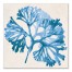 Cobalt Sea Weed 24x24 Canvas Wall Art 