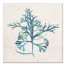 Emerald Sea Weed 24x24 Canvas Wall Art
