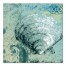 Emerald Clam Shell 24x24 Canvas Wall Art