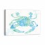 Coastal Crab 36x24 Canvas Wall Art