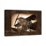 Vintage Biplane 36x24 Canvas Wall Art