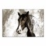 Majestic Stallion 36x24 Canvas Wall Art