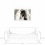 Majestic Stallion 36x24 Canvas Wall Art