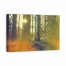 Stylized Forest 36x24 Canvas Wall Art