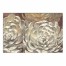 Snowy Chrysanthemum 36x24 Canvas Wall Art 
