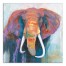 Patient Pachyderm 30x30 Canvas Wall Art