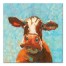 Curious Cow 2 30x30 Canvas Wall Art 