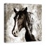 Horse Study in Sepia 30x30 Canvas Wall Art