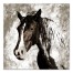 Horse Study in Sepia 30x30 Canvas Wall Art