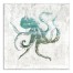 Turquoise Octopus 30x30 Canvas Wall Art