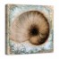 Button Shell 2 Coastal 30x30 Canvas Wall Art 