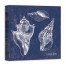 Azure Conch Shells 20x20 Canvas Wall Art