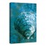 Turquoise Cockle 24x36 Canvas Wall Art