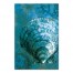 Turquoise Cockle 24x36 Canvas Wall Art