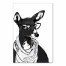 Black and White Doe 24x36 Canvas Wall Art