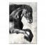 Run Free 24x36 Canvas Wall Art